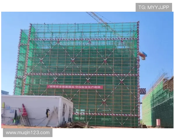 酷暑拼搏全力以赴球队稳步向好